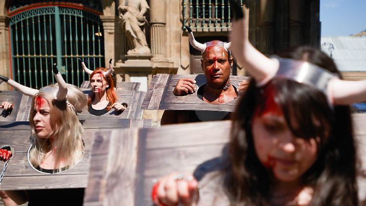 "Wir wissen, dass es in der Gesellschaft eine Mehrheit gibt, die diese Tierquälerei nicht nur in Pamplona, sondern in ganz Spanien ablehnt", sagt Tierschützerin Aida Gascón.