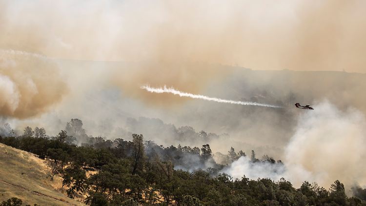 Bei Temperaturen von weit über 40 Grad Celsius muss die Feuerwehr in Kalifornien mehrere Waldbrände bekämpfen.
