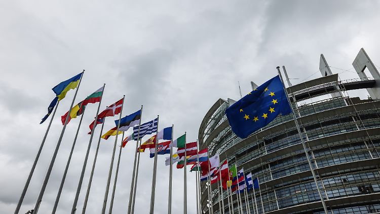 Das Bündnis von Orban hat genug Mitglieder, um im EU-Parlament den Status einer Fraktion zu erhalten.