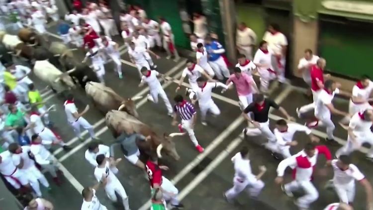 Stierhatz durch Pamplona.jpg