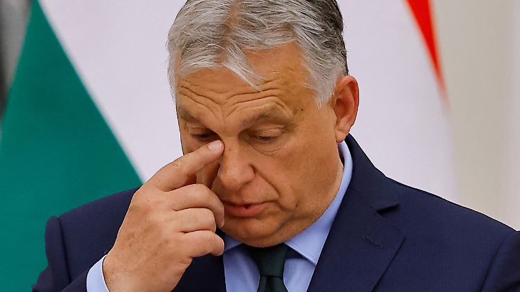 Viktor Orban hatte Anfang Juli ein Dekret unterzeichnet, mit dem das Schnellverfahren für die Erteilung von Visa in Ungarn wieder auf Russland und Belarus sowie sechs weitere Staaten ausgeweitet wurde.