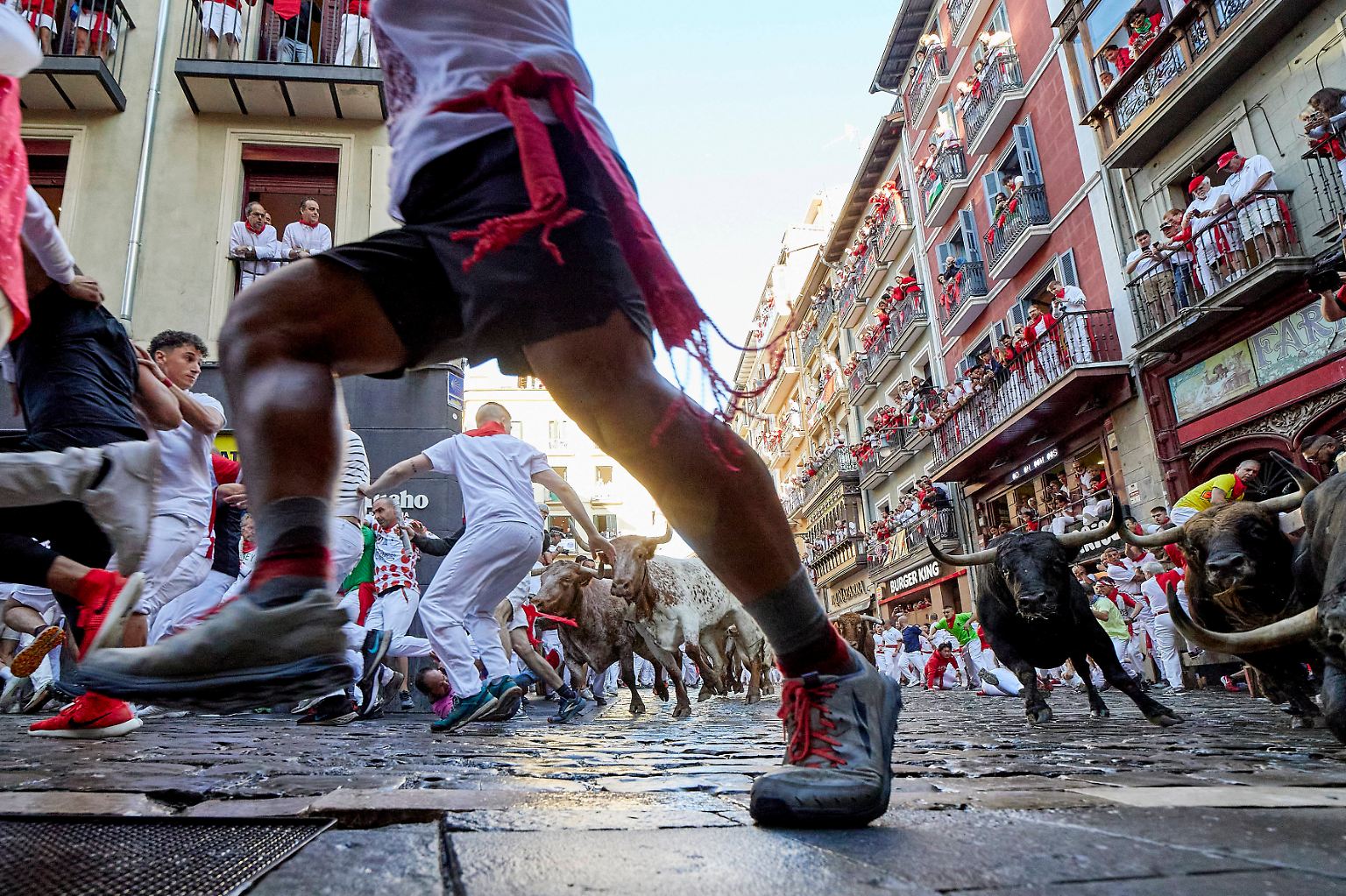 Seit Sonntag rasen wieder täglich Stiere beim umstrittenen Sanfermín-Fest durch die engen Gassen von Pamplona.