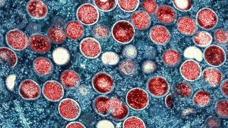 Affen sind für Mpox fälschlicherweise namensgebend, die natürlichen Wirte dieser Viren sind verschiedene Nagetiere .