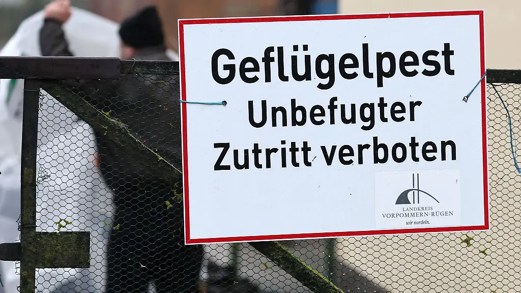 Gefluegelpest-Unbefugter-Zutritt-verboten-steht-auf-einem-Schild-am-Zaun-eines-betroffenen-Hofes