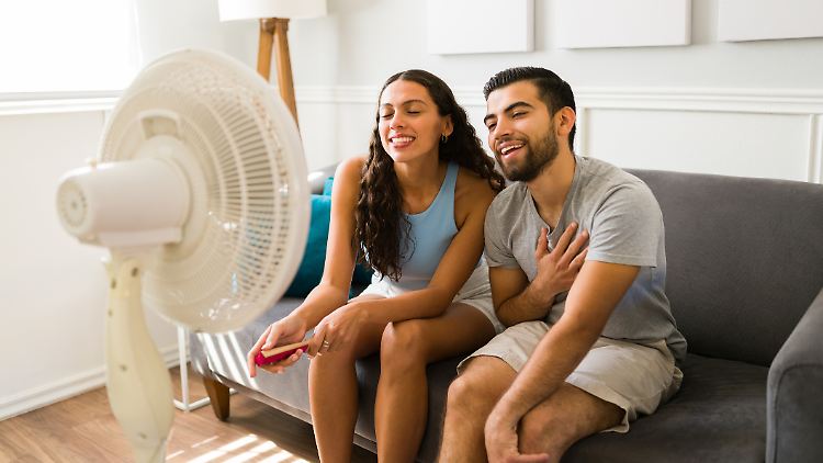 Ventilatoren müssen keine Unmengen an Geld kosten: Es gibt schon Modelle unter 100 Euro, die uns herunterkühlen.
