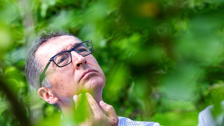 Der Kommentar des Facebook-Nutzers sei ehrenrührig und verletze Cem Özdemir in seinem Persönlichkeitsrecht. 