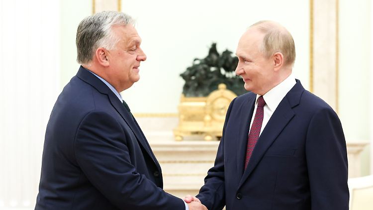 Putin (r) zeigte sich hocherfreut über das Treffen mit dem vermeintlichen Friedensstifter Orban.