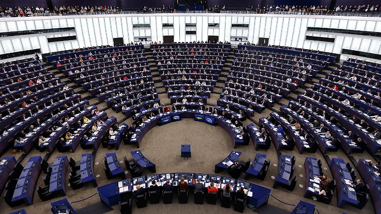 Im Europaparlament sortieren sich derzeit die Fraktionen neu - auch bei der extremen Rechten.