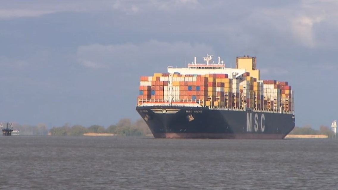 MSC HHLA Hamburger Hafen.jpg