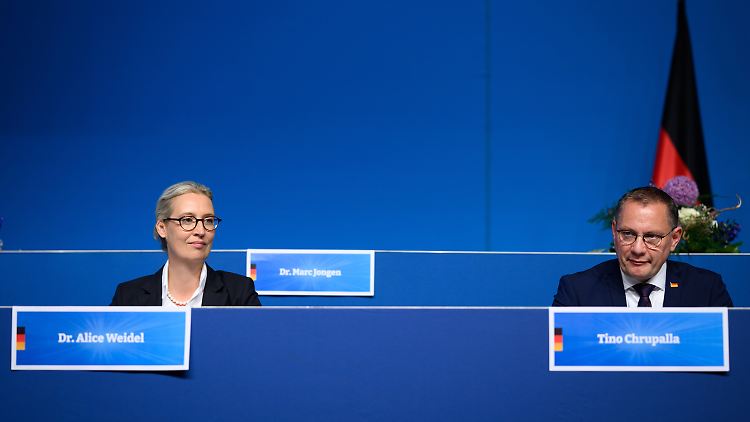 Der neuen AfD-Fraktion gehören 28 Politiker an. 14 davon stammen von der AfD selbst.
