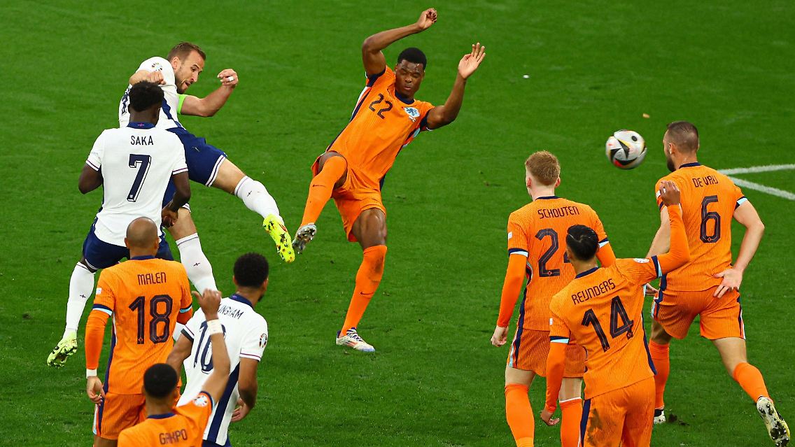 ned-eng (27).jpg