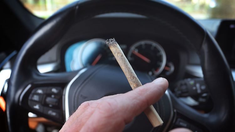 Erst rund 20 Stunden nach dem Konsum waren die Probanden in der Lage, sicher und legal am Straßenverkehr teilzunehmen.