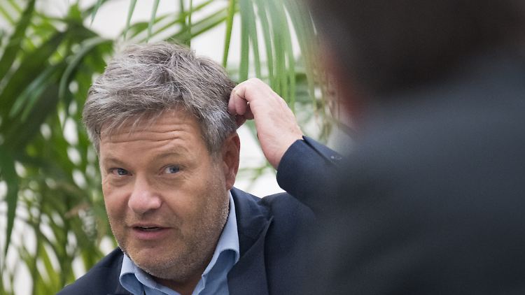 Was nun? Habeck wollte eigentlich noch nicht über eine mögliche Kanzlerkandidatur sprechen, muss es aber nach Baerbocks Absage.