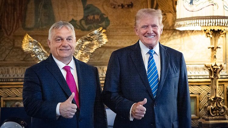 Orban und Trump verstehen sich.