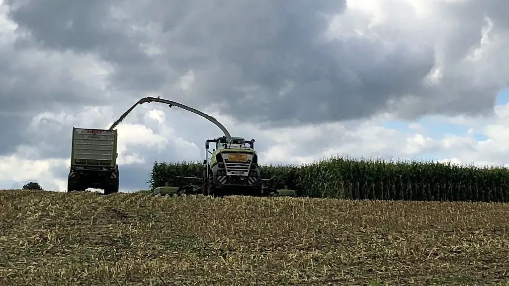 Dunkle-Wolken-ziehen-ueber-ein-Maisfeld-das-gerade-abgeerntet-wird