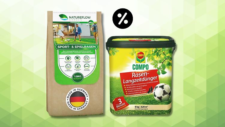 Amazon senkt den Preis für Rasensamen und Dünger. Wie gut ist das Angebot?