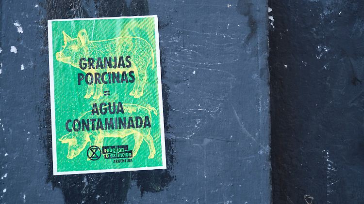 "Schweinefarmen bedeuten verseuchtes Wasser" steht auf einem Protestplakat in Argentinien gegen das Schweinefleischabkommen mit China.