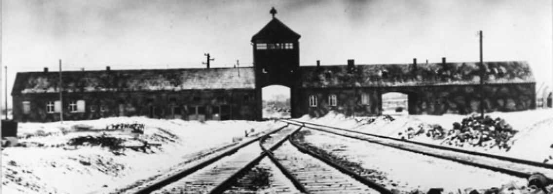 Vor 65 Jahren wurde das Konzentrations- und Vernichtungslager Auschwitz befreit.
