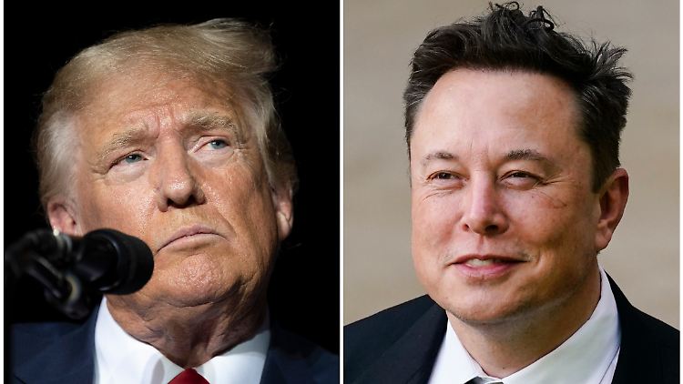 Milliardär Musk hat sich offenbar für einen Kandidaten entschieden: Es ist einem Bericht zufolge Donald Trump.