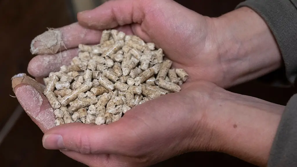 Eine-Frau-haelt-Holzpellets-im-Keller-eines-Wohnhauses-in-den-Haenden