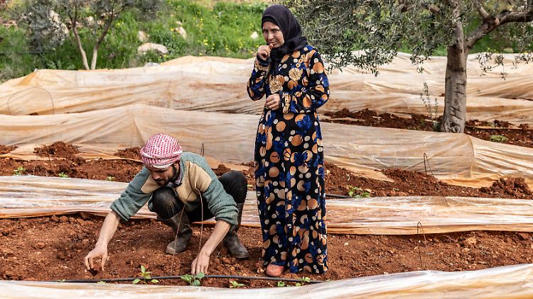 Dieses landwirtschaftliche Projekt im syrischen Idlib wurde auch von Deutschland finanziert.