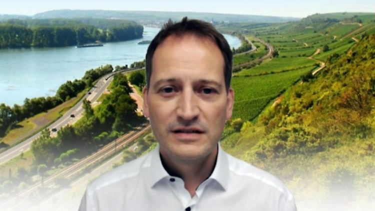 Manuel Höferlin FDP.jpg