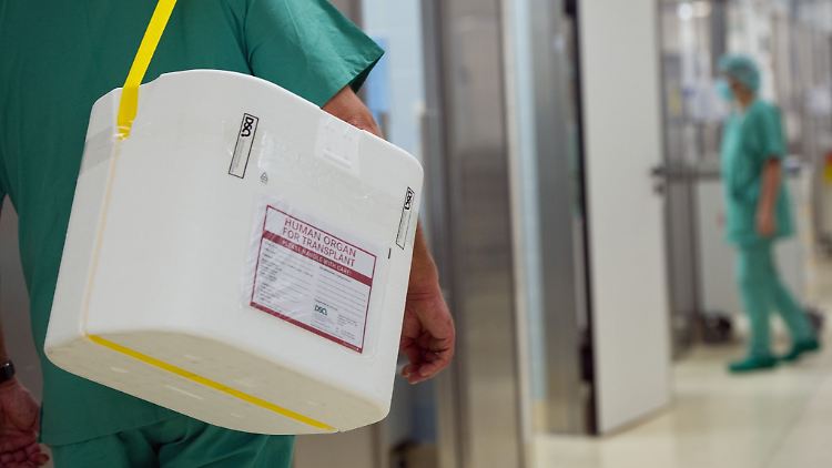 Nierenspenden zu Lebzeiten sollen flexibler möglich werden.