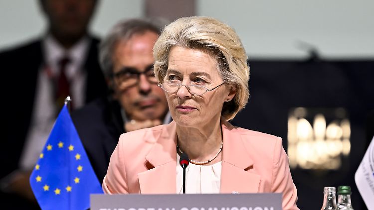 Schon die vergangene Wahl im Europaparlament vor fünf Jahren entschied von der Leyen nur knapp für sich.