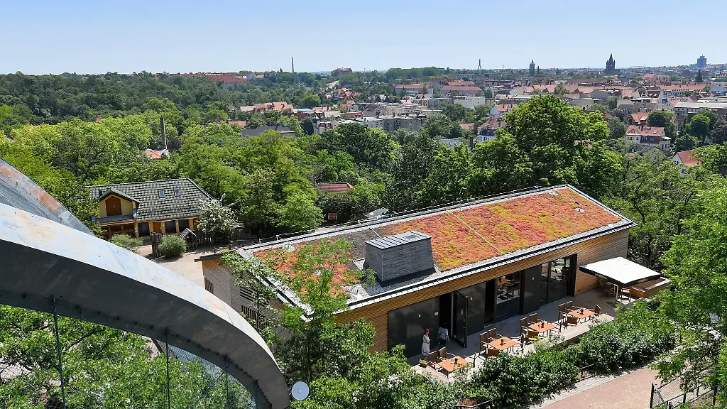 Blick-vom-Aussichtsturm-im-Bergzoo-Halle-Saale-auf-das-Zoogelaende