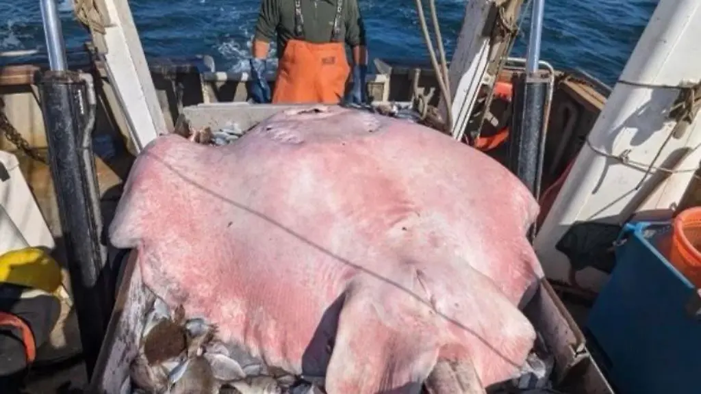 384989703-720530273448026-8130403594364950353-n