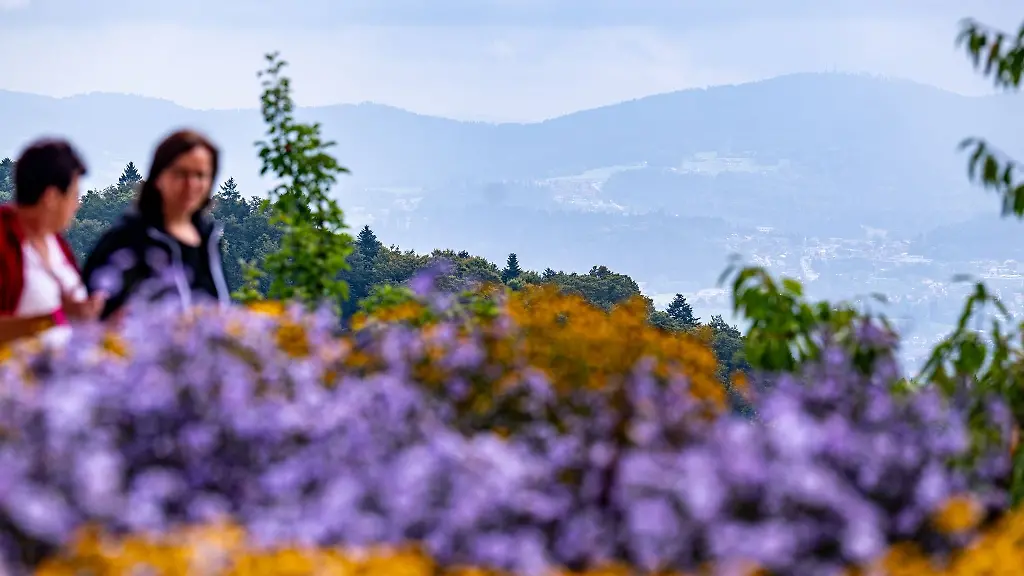Blick-auf-Blumen-auf-der-Landesgartenschau