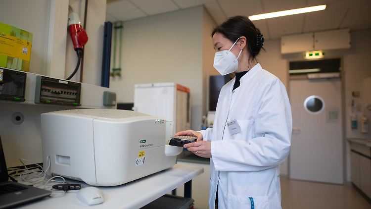 Regelmäßige Proben aus dem Abwasser, Analyse im Labor: "Aktuell sehen wir in Berlin eine SARS-CoV-2-Welle."