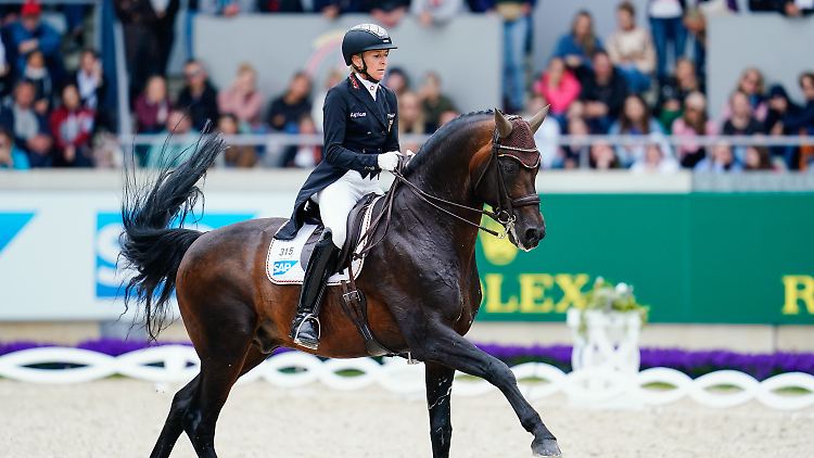 Franziskus ist verletzt, damit ist auch Ingrid Klimke nicht bei den Olympischen Spielen dabei.