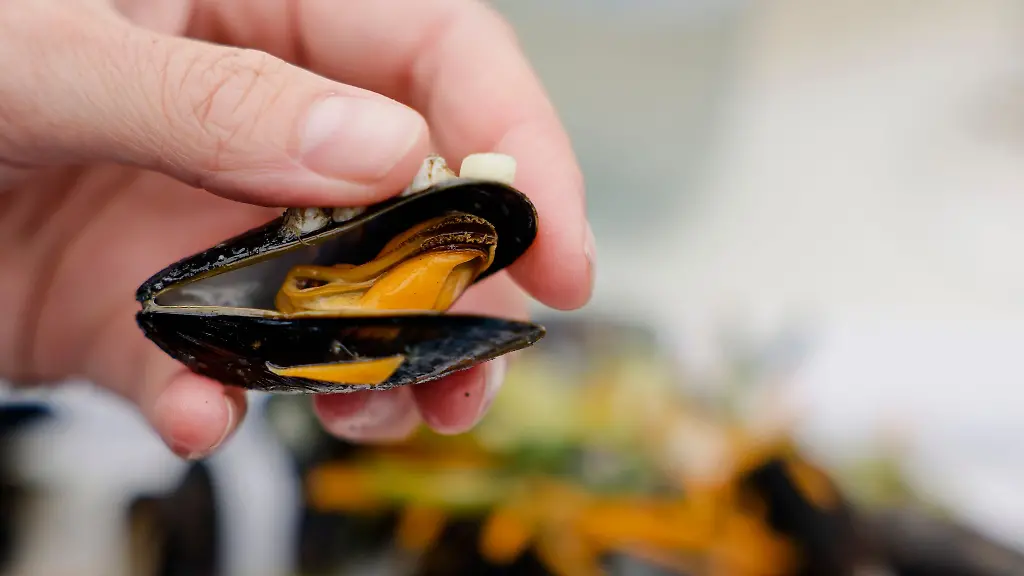 Eine-Frau-haelt-eine-Miesmuschel-in-der-Hand