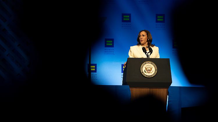 Wird Kamala Harris die Präsidentschaftskandidatin der Demokraten und kann sie Donald Trump besiegen?