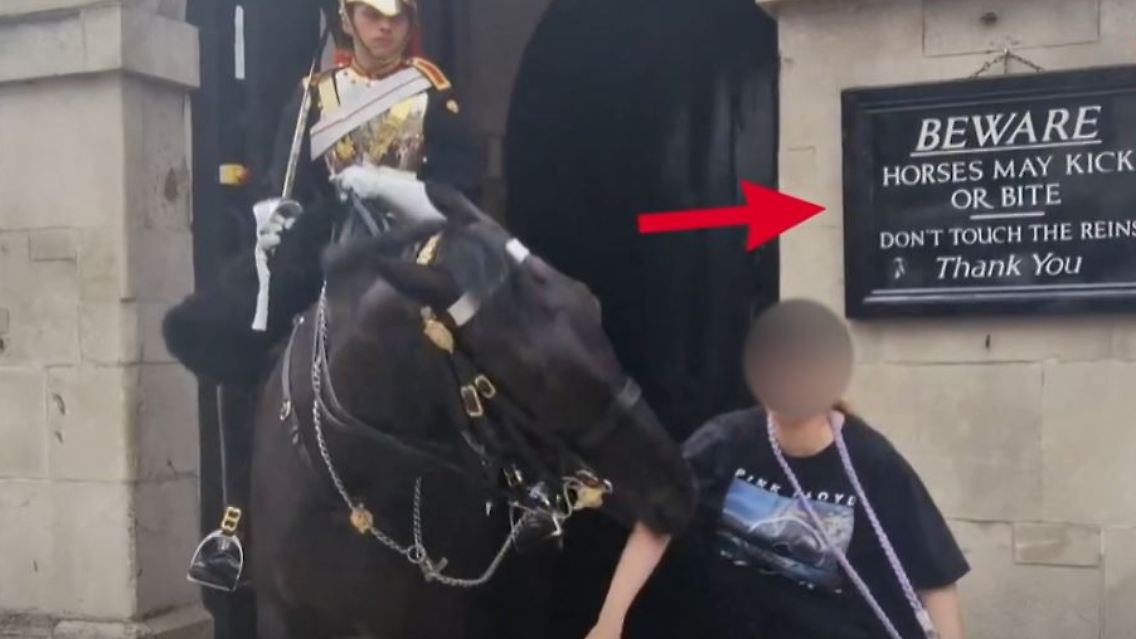 Beißpferd.JPG
