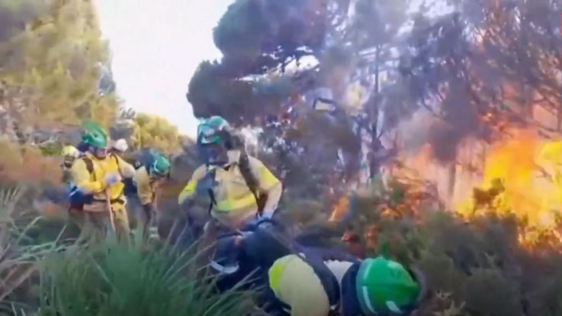 waldbrand.JPG