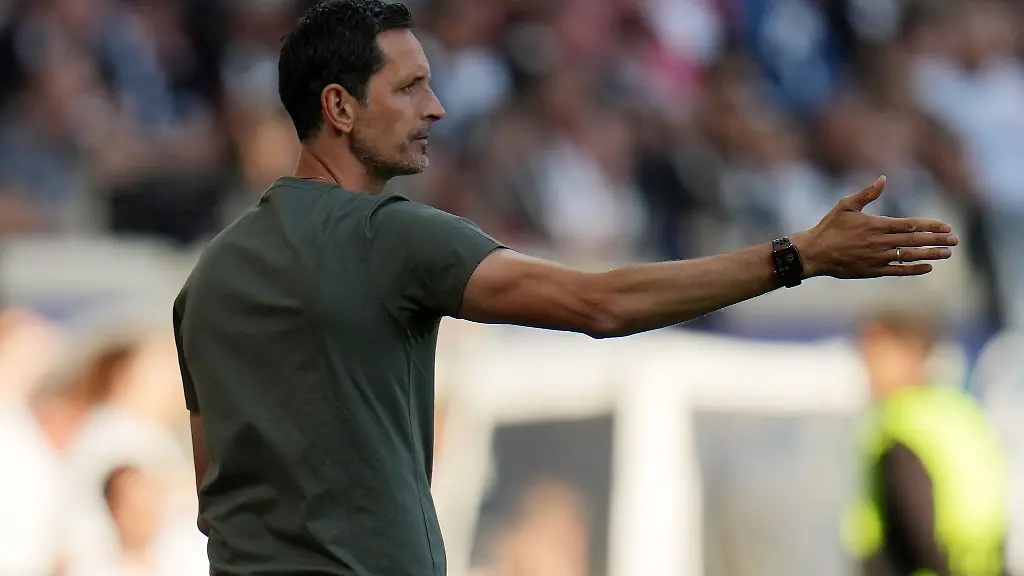 Eintracht-Frankfurts-Cheftrainer-Dino-Toppmoeller