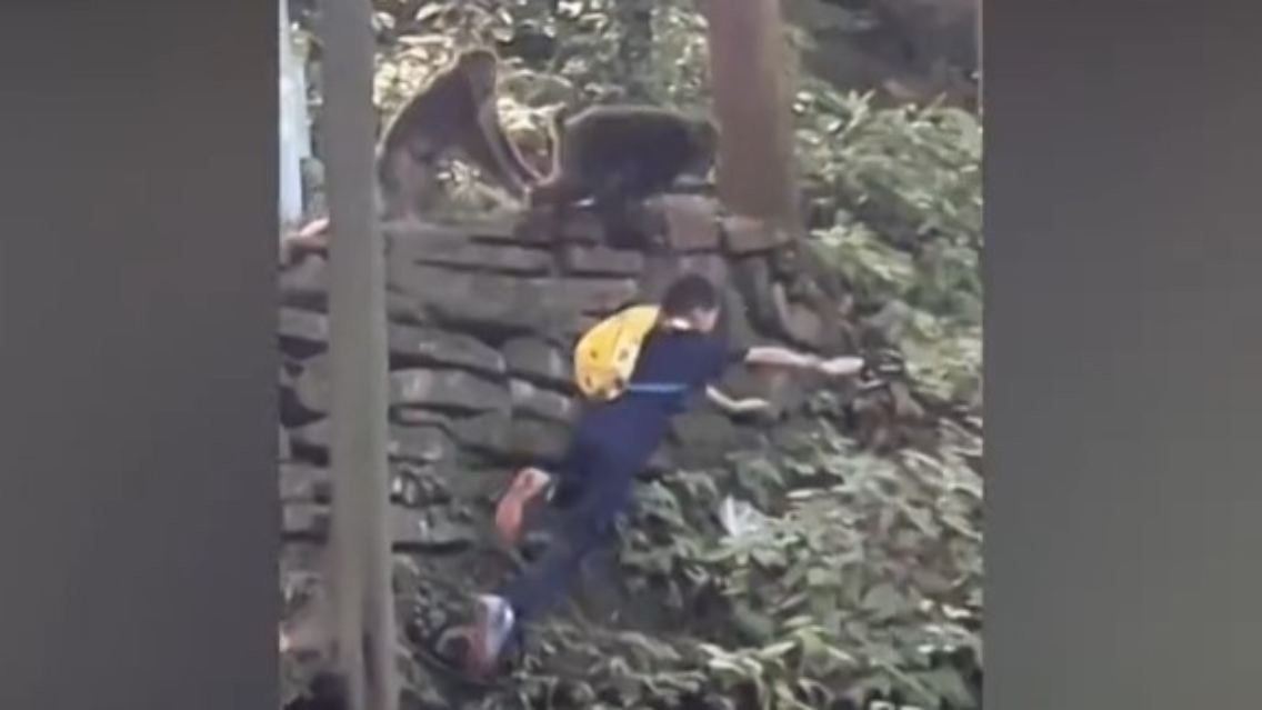 Affenangriff Junge China Mauer Abhang.jpg
