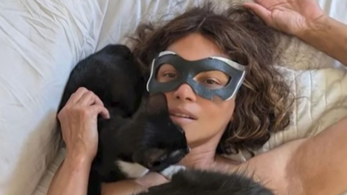 Halle Berry Catwoman.jpg