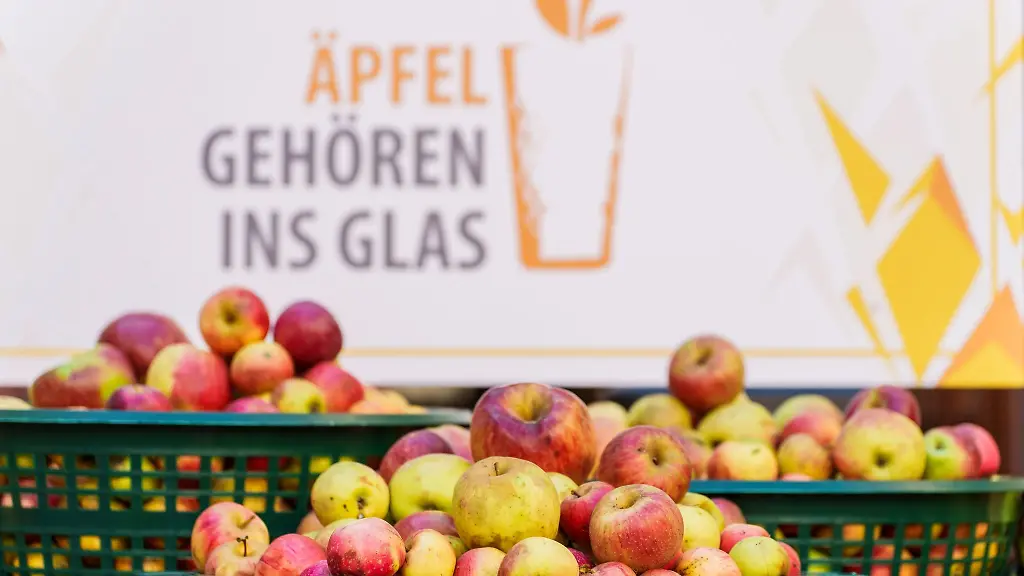 Aepfeln-von-Streuobstwiesen-liegen-in-Koerben