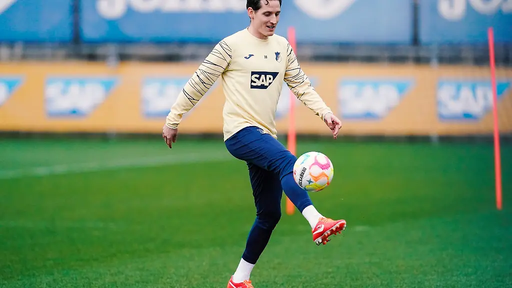 Hoffenheims-Sebastian-Rudy-spielt-den-Ball