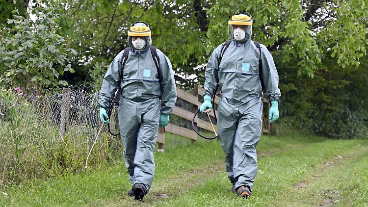 In der Nähe von Zürich werden Pestizide gegen den Japankäfer eingesetzt.