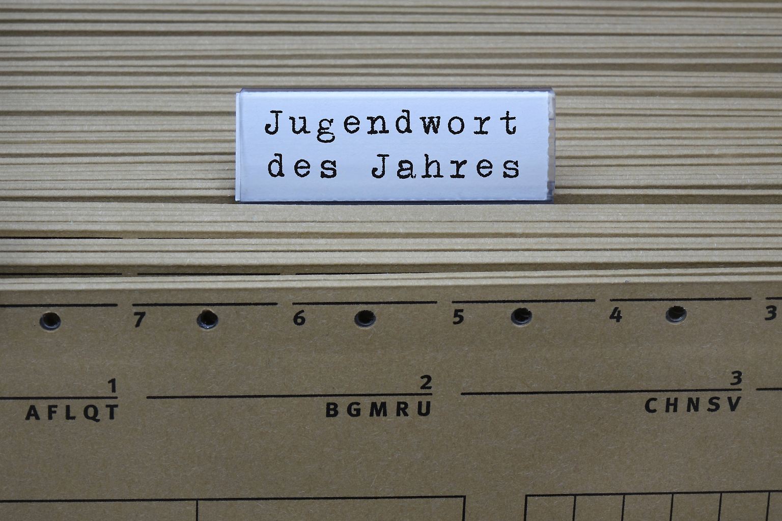 Sprache verändert sich - und das generationsabhängig. Jedes Jahr kürt der Langenscheidt Verlag entsprechend das Wort, welches ...