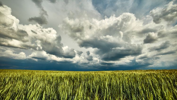 Sieht schön aus, kann aber unangenehm werden: Sommerhitze schlägt in manchen Teilen Deutschlands in Gewitter um.