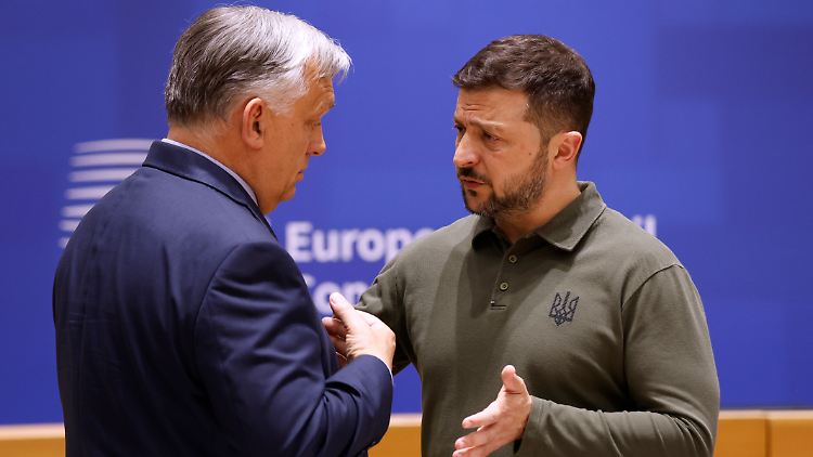Der ungarische Regierungschef Viktor Orbán und Ukraine-Präsident Wolodymy Selenskyj während eines Treffens in Brüssel im Juni.
