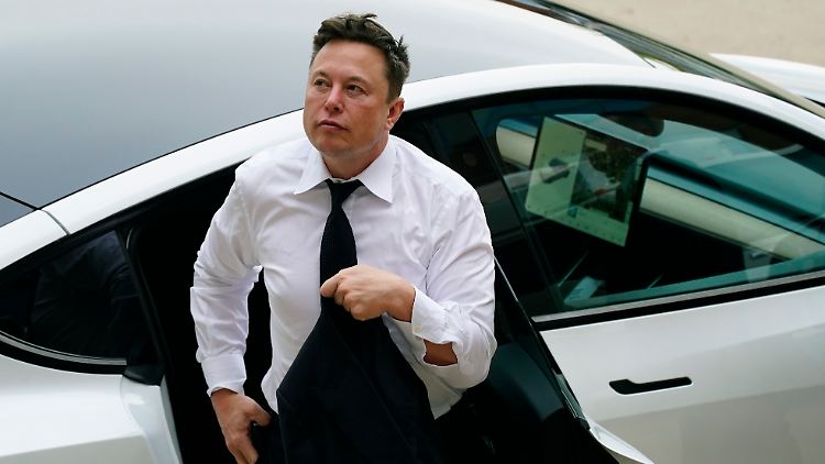 Elon Musk, der reichste Mensch des Planeten, unterstützt Donald Trump.