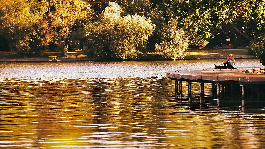 Herbstlich-leuchten-die-Blaetter-im-Treptower-Park