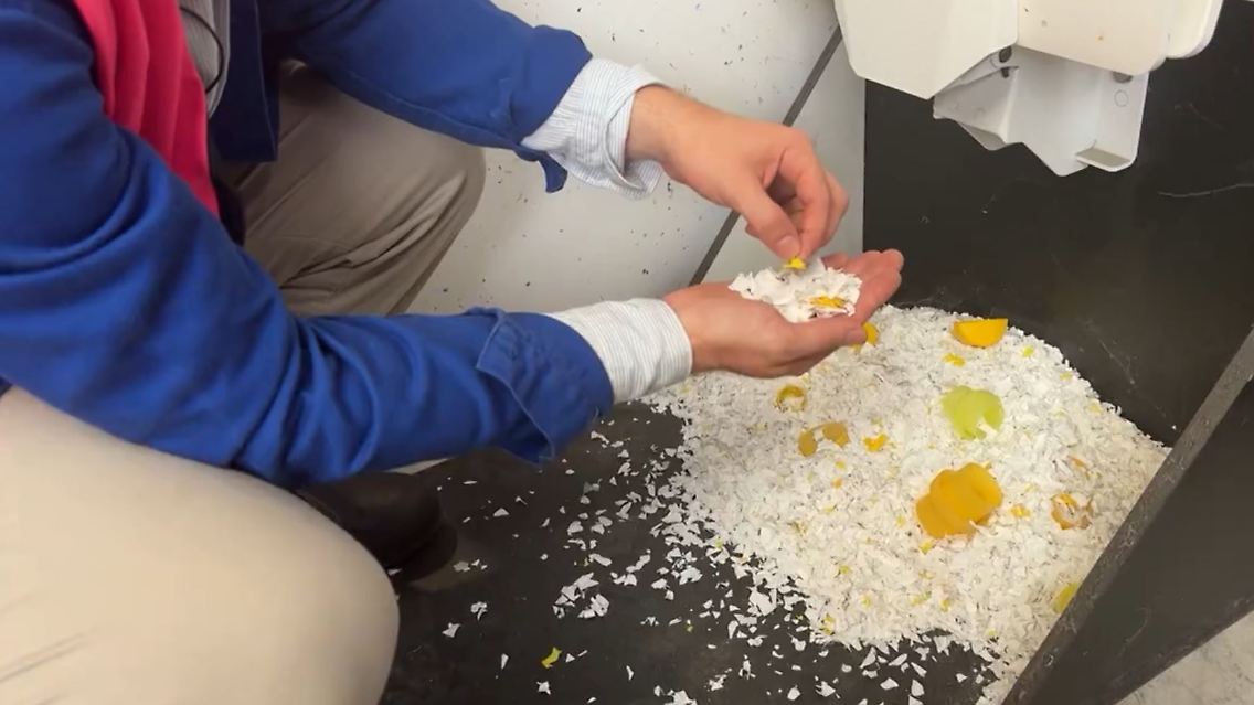 plastikmüll.JPG