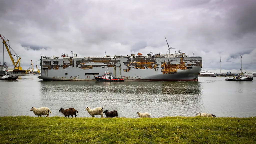 05d11a7b69e85f60745e4f63b7008f04